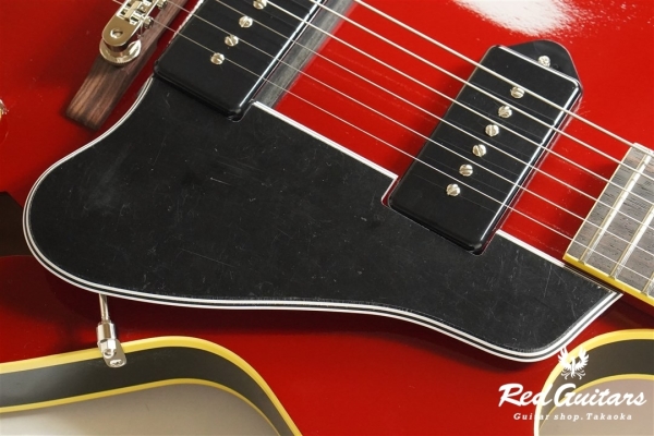  Curtis - Black-Belly Red